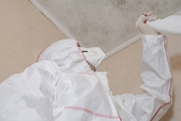 Best DIY Mold Remediation Support Services in Centreville, MS